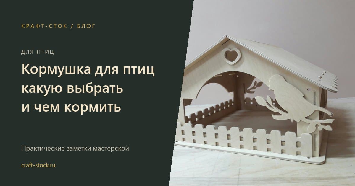 Кормушка для птиц: какую выбрать, где повесить и чем кормить