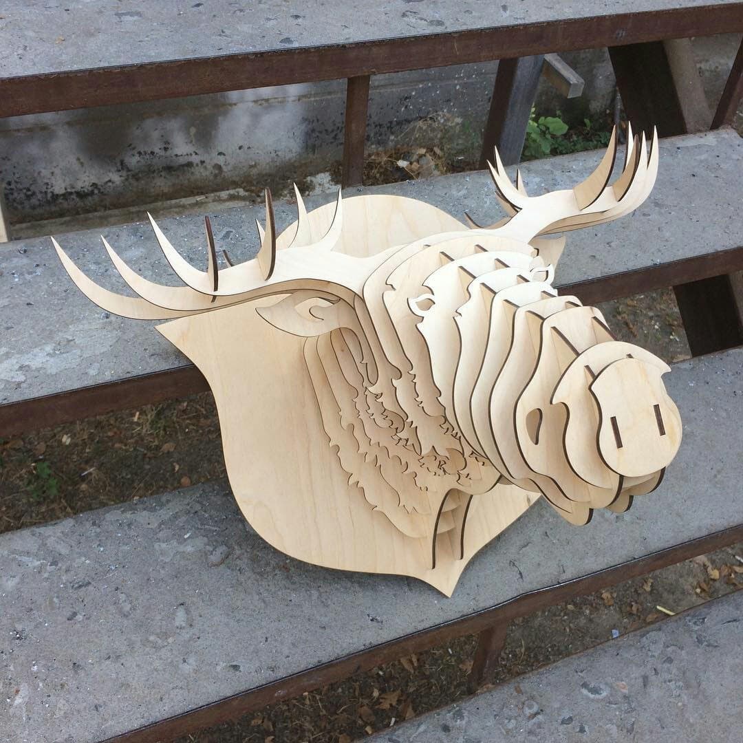 Голова лося